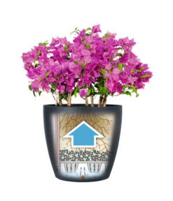 LECHUZA® CLASSICO Color, All-in-One-Set 16 LECHUZA® CLASSICO Color, All-in-One-Set -Garten Werk Zone 1495332 WE IG 001 LechuzaClassicoColor Infografik