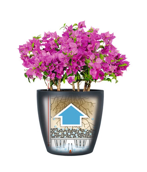 LECHUZA® CLASSICO Color, All-in-One-Set 7 LECHUZA® CLASSICO Color, All-in-One-Set – Bild 5