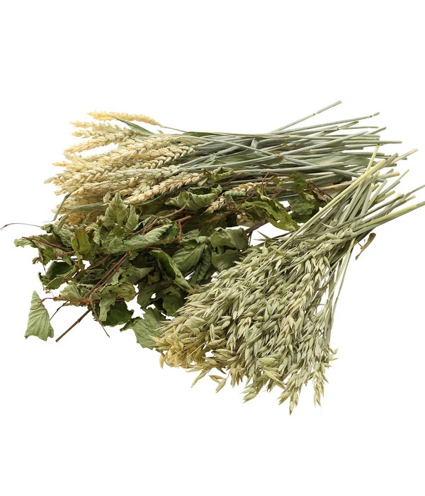 Dehner Best Nature Hafer, 75 G 4 Dehner Best Nature Hafer, 75 G – Bild 2