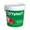 SÖCHTING OXYDATOR® Teichpflege Dr. Söchting's Oxyplus T -Garten Werk Zone 1832179 BildFS 001 DrSoechtingSOxyPlusTOxyPlusT25Tabletten
