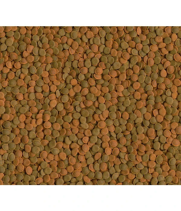 Tetra Fischfutter Wafer Mix 4 Tetra Fischfutter Wafer Mix – Bild 2