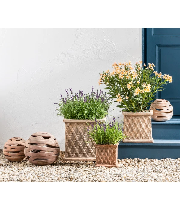 Lavendel 3 Lavendel – Bild 2