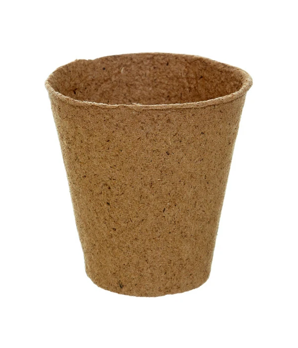 Dehner Anzuchttöpfe Für Pflanzen, 8 Cm 5 Dehner Anzuchttöpfe Für Pflanzen, 8 Cm – Bild 3