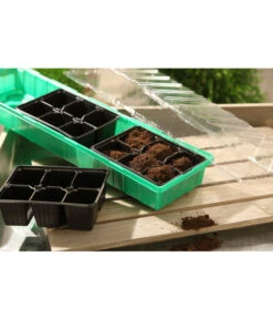 Dehner Zimmergewächshaus Frans, 54 X 15 X 12 Cm 8 Dehner Zimmergewächshaus Frans, 54 X 15 X 12 Cm -Garten Werk Zone 207456 BildM 001 RombergZimmergewaechshausFransFensterbGewH54X15x12