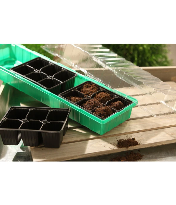 Dehner Zimmergewächshaus Frans, 54 X 15 X 12 Cm 5 Dehner Zimmergewächshaus Frans, 54 X 15 X 12 Cm – Bild 3