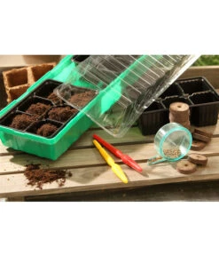 Dehner Zimmergewächshaus Frans, 54 X 15 X 12 Cm 9 Dehner Zimmergewächshaus Frans, 54 X 15 X 12 Cm -Garten Werk Zone 207456 BildM 002 RombergZimmergewaechshausFransFensterbGewH54X15x12