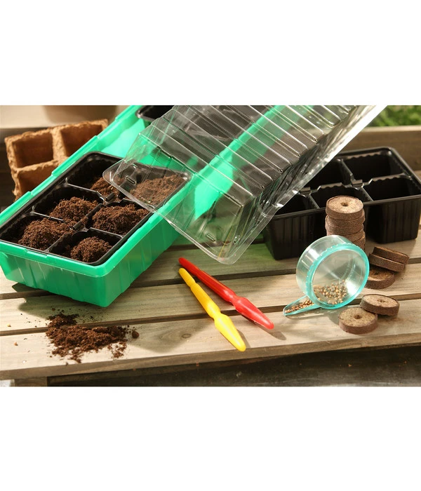 Dehner Zimmergewächshaus Frans, 54 X 15 X 12 Cm 6 Dehner Zimmergewächshaus Frans, 54 X 15 X 12 Cm – Bild 4