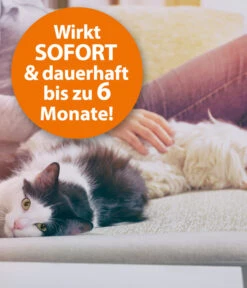 ARDAP® Ungeziefer-Vernebler Fogger, 200 Ml 9 ARDAP® Ungeziefer-Vernebler Fogger, 200 Ml -Garten Werk Zone 2204196 WE DE 002 ArdapZhbUngezieferVerneblerFogger200ml