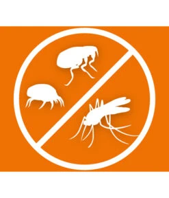 ARDAP® Ungeziefer-Vernebler Fogger, 200 Ml 11 ARDAP® Ungeziefer-Vernebler Fogger, 200 Ml -Garten Werk Zone 2204196 WE DE 004 ArdapZhbUngezieferVerneblerFogger200ml