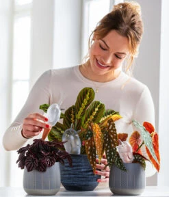 Scheurich Wasserspeicher Bördy XL 11 Scheurich Wasserspeicher Bördy XL -Garten Werk Zone 220527 5356548 WE MO 001 ScheurichWasserspeicherBirdy