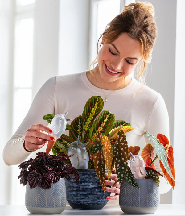 Scheurich Wasserspeicher Bördy XL 6 Scheurich Wasserspeicher Bördy XL – Bild 4