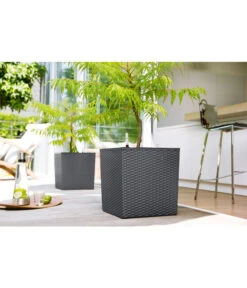 Dehner Kunststoff-Pflanztopf Dallas, Quadratisch, Ca. B35/H34/T35 Cm 11 Dehner Kunststoff-Pflanztopf Dallas, Quadratisch, Ca. B35/H34/T35 Cm -Garten Werk Zone 2460038 2460046 2460053 WE MO 001 KunststoffTopf36x36x36cm