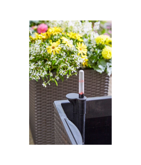 Dehner Kunststoff-Pflanztopf Dallas, Quadratisch, Ca. B35/H34/T35 Cm 7 Dehner Kunststoff-Pflanztopf Dallas, Quadratisch, Ca. B35/H34/T35 Cm – Bild 5