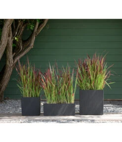 Dehner Kunststoff-Pflanztopf Dallas, Quadratisch, Ca. B35/H34/T35 Cm 13 Dehner Kunststoff-Pflanztopf Dallas, Quadratisch, Ca. B35/H34/T35 Cm -Garten Werk Zone 2460046 WE MO 003 DehnerKunststoffPflanztopfDallasquadratisch