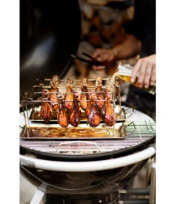 Rösle Hähnchenrack -Garten Werk Zone 2460228 WE MO 002 Haehnchenrack