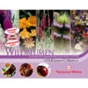 Thompson & Morgan Samen 'Wildblumen-Collection' 1 Thompson & Morgan Samen 'Wildblumen-Collection' -Garten Werk Zone 2531705 WE FS 001 ThompsonMorganWildblumenCollection