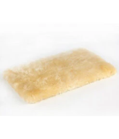 Silvio Design Fensterliege Für Katzen