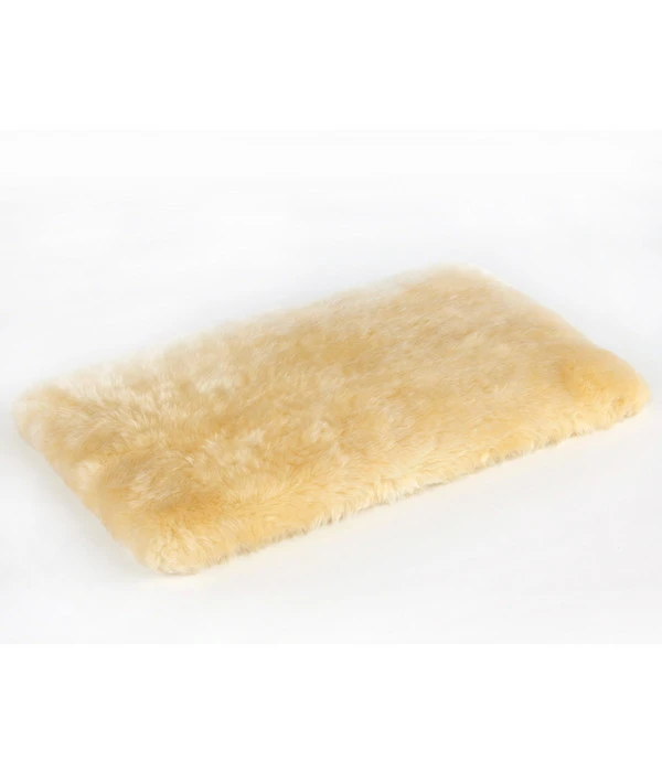 Silvio Design Fensterliege Für Katzen 3 Silvio Design Fensterliege Für Katzen