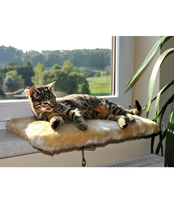 Silvio Design Fensterliege Für Katzen 4 Silvio Design Fensterliege Für Katzen – Bild 2