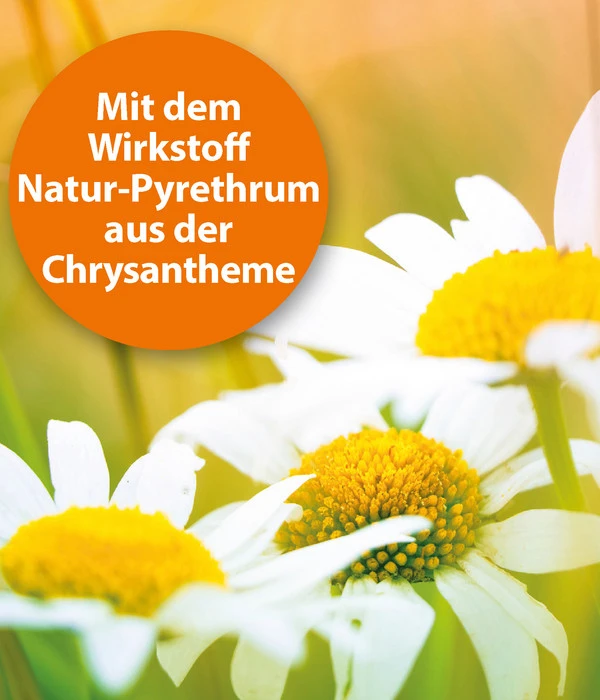 ARDAP® Zecken- Und Flohschutz Spot-On Für Kleine Hunde, 3 X 1 Ml 4 ARDAP® Zecken- Und Flohschutz Spot-On Für Kleine Hunde, 3 X 1 Ml – Bild 2