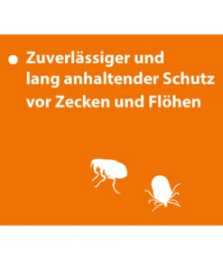 ARDAP® Zecken- Und Flohschutz Spot-On Für Kleine Hunde, 3 X 1 Ml 12 ARDAP® Zecken- Und Flohschutz Spot-On Für Kleine Hunde, 3 X 1 Ml -Garten Werk Zone 2599140 WE DE 004 ArdapQuikoHZbhSpotOnKleineHunde10kg