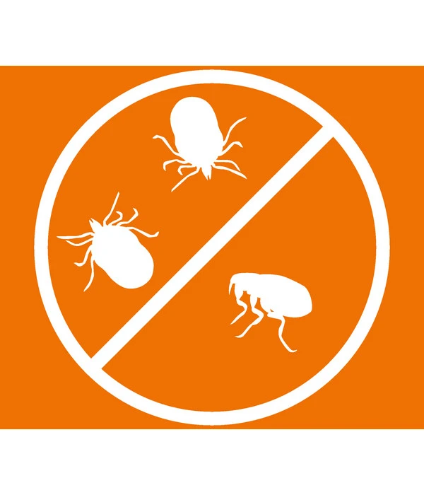 ARDAP® Zecken- Und Flohschutz Spot-On Für Kleine Hunde, 3 X 1 Ml 8 ARDAP® Zecken- Und Flohschutz Spot-On Für Kleine Hunde, 3 X 1 Ml – Bild 6