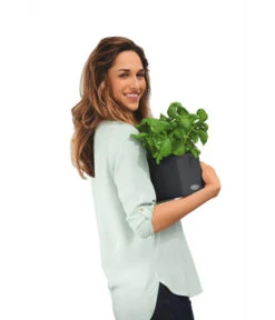 LECHUZA® CUBE Color, All-in-One Set 11 LECHUZA® CUBE Color, All-in-One Set -Garten Werk Zone 2843480 WE MO 002 CubeColor14GrauLechuza