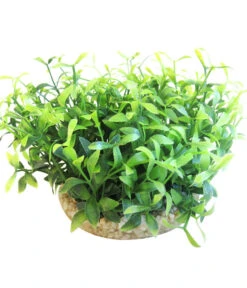 Sydeco Kit Kombi 2, Kunstpflanzen, 5 Stück 14 Sydeco Kit Kombi 2, Kunstpflanzen, 5 Stück -Garten Werk Zone 2999068 WE D 004 SydecoKitKombi2