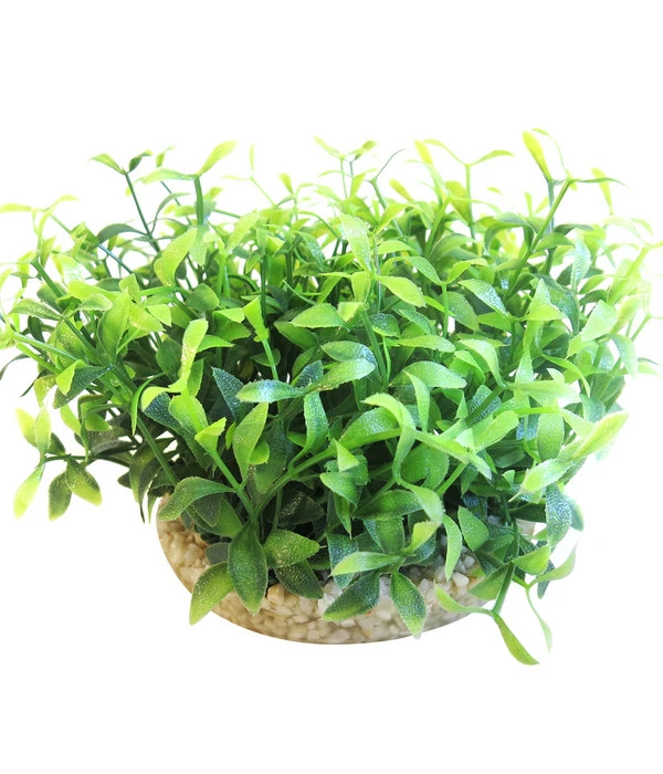 Sydeco Kit Kombi 2, Kunstpflanzen, 5 Stück 8 Sydeco Kit Kombi 2, Kunstpflanzen, 5 Stück – Bild 6