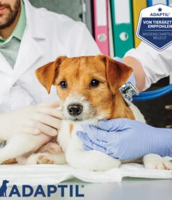 ADAPTIL® Calm Nachfüllflakon -Garten Werk Zone 3020054 3020062 WE MO 002 AdaptilCalmVerdampferStarterSetNF