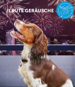 ADAPTIL® Calm Nachfüllflakon -Garten Werk Zone 3020054 3020062 WE MO 003 CevaHZbhAdaptilCalm