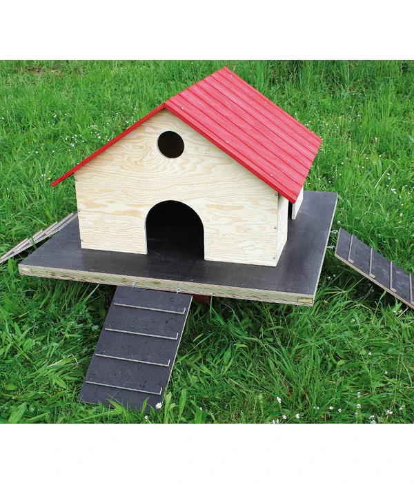 Elmato® Entenhaus Für Teichenten 4 Elmato® Entenhaus Für Teichenten – Bild 2