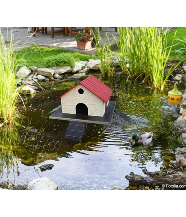 Elmato® Entenhaus Für Teichenten 3 Elmato® Entenhaus Für Teichenten