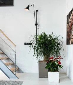 LECHUZA® CUBE, All-in-One Set 14 LECHUZA® CUBE, All-in-One Set -Garten Werk Zone 3179850 3179637 WE MO 008 CubePremiumWeissTaupe