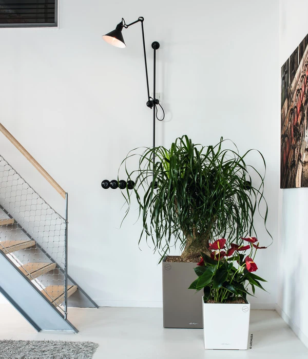 LECHUZA® CUBE, All-in-One Set 8 LECHUZA® CUBE, All-in-One Set – Bild 6