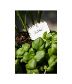 Elho Pflanz-Stift, 5 Stück 7 Elho Pflanz-Stift, 5 Stück -Garten Werk Zone 3266806 MO FS 001 PflanzstiftMweissElhoEtikett