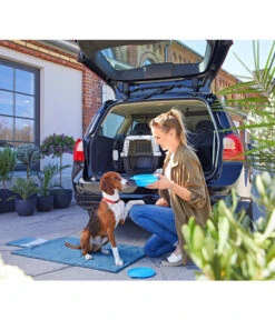 Dehner Lieblinge Transportbox Dino 10 Dehner Lieblinge Transportbox Dino -Garten Werk Zone 3275252 PR MO 006 DehnerMarkenqualitaetKofferraumshootingGC10 4081303 3857257 2830487 2830479 4119541