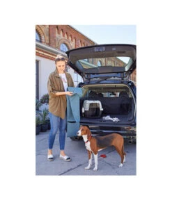 Dehner Lieblinge Transportbox Dino 9 Dehner Lieblinge Transportbox Dino -Garten Werk Zone 3275252 PR MO 011 DehnerMarkenqualitaetKofferraumshootingGC10 4081303 3857257 2830487 2830479 4119541