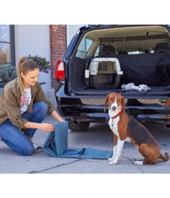 Dehner Lieblinge Transportbox Dino 11 Dehner Lieblinge Transportbox Dino -Garten Werk Zone 3275252 PR MO 015 DehnerMarkenqualitaetKofferraumshootingGC10 4081303 3857257 2830487 2830479 4119541