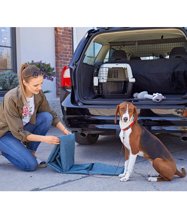 Dehner Lieblinge Transportbox Dino 7 Dehner Lieblinge Transportbox Dino – Bild 5