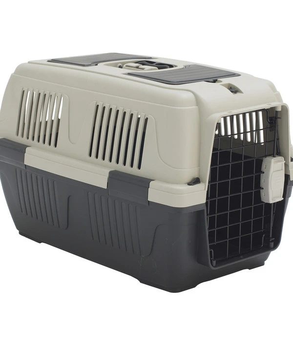 Dehner Lieblinge Transportbox Dino 4 Dehner Lieblinge Transportbox Dino – Bild 2