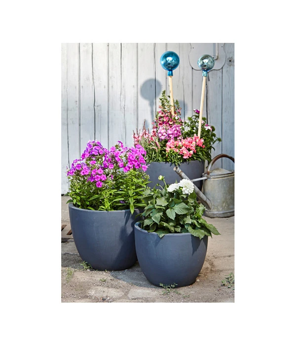 Dehner Leichtbeton-Pflanztopf Manchester, Rund, Antik-schwarz 4 Dehner Leichtbeton-Pflanztopf Manchester, Rund, Antik-schwarz – Bild 2