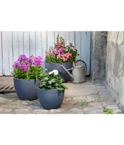 Dehner Leichtbeton-Pflanztopf Manchester, Rund, Antik-schwarz 10 Dehner Leichtbeton-Pflanztopf Manchester, Rund, Antik-schwarz -Garten Werk Zone 3337151 3337169 3337136 3337144 WE MO 002 DehnerLeichtbetonPflanztopfantikschwarz