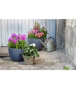 Dehner Leichtbeton-Pflanztopf Manchester, Rund, Antik-schwarz 11 Dehner Leichtbeton-Pflanztopf Manchester, Rund, Antik-schwarz -Garten Werk Zone 3337151 3337169 3337136 3337144 WE MO 003 DehnerLeichtbetonPflanztopfantikschwarz