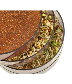 Dehner Sprossenhaus, 4 Schalen 8 Dehner Sprossenhaus, 4 Schalen -Garten Werk Zone 3677101 WE MO 002 DehnerSprossenhausKeimsprossen