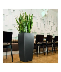 LECHUZA® CUBICO Premium, All-in-One-Set 10 LECHUZA® CUBICO Premium, All-in-One-Set -Garten Werk Zone 3679636 BildM 001 LechuzaCubicoCubicoPrem22KplAnthr