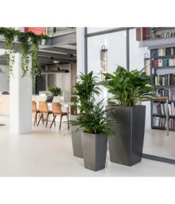 LECHUZA® CUBICO Premium, All-in-One-Set 11 LECHUZA® CUBICO Premium, All-in-One-Set -Garten Werk Zone 3683828 3683893 5495460 WE MO 005 CubicoPremiumAnthrazit