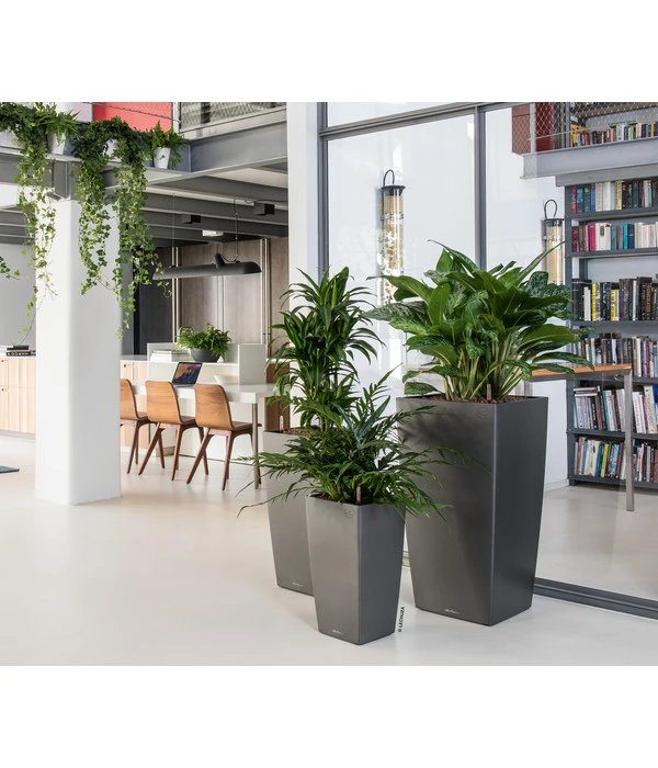 LECHUZA® CUBICO Premium, All-in-One-Set 6 LECHUZA® CUBICO Premium, All-in-One-Set – Bild 4