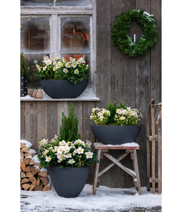 Dehner Kunststoff-Topf Stone, Anthrazit 4 Dehner Kunststoff-Topf Stone, Anthrazit – Bild 2