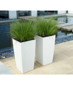 LECHUZA® CUBICO Color, All-in-One-Set 11 LECHUZA® CUBICO Color, All-in-One-Set -Garten Werk Zone 3698362 BildM 001 LechuzaCubicoCubicoColor22KplWeiss